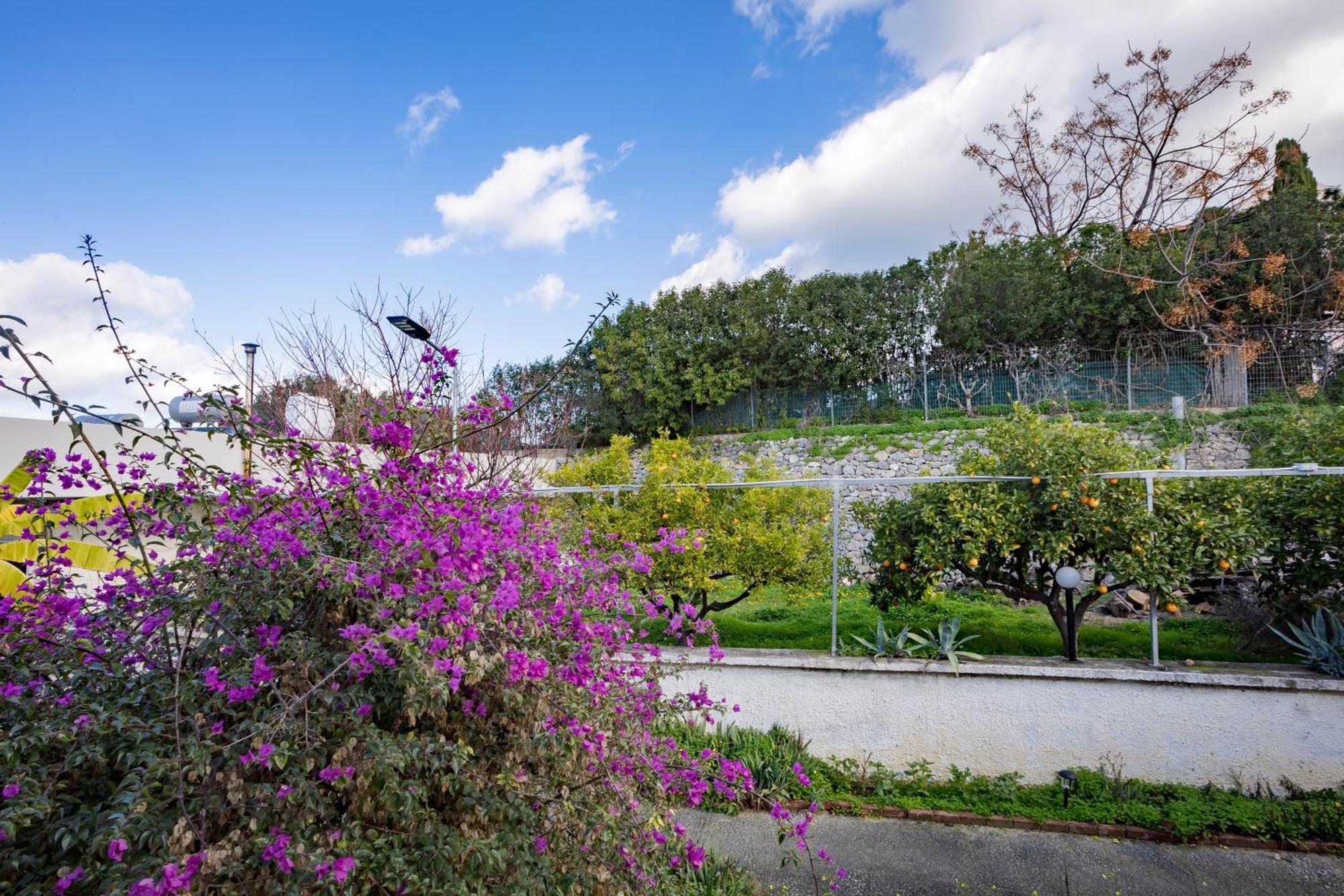 Rose Of Crete Aparthotel Platanés Εξωτερικό φωτογραφία