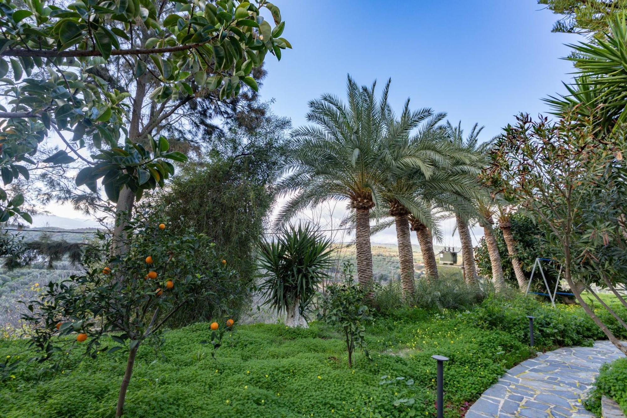 Rose Of Crete Aparthotel Platanés Εξωτερικό φωτογραφία